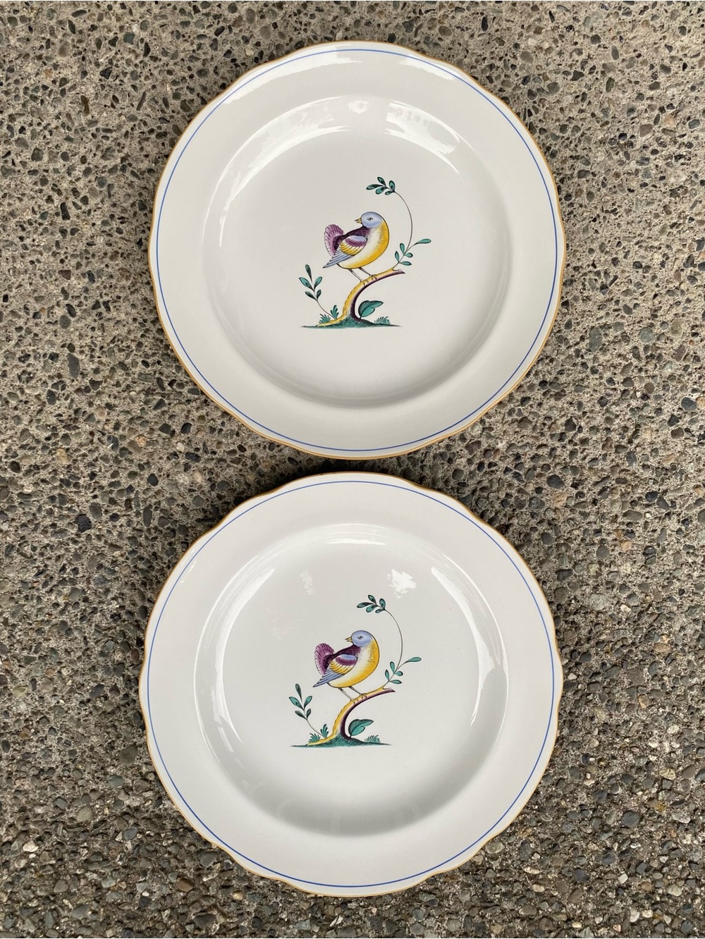 Vintage 1999 Spode Queen's Bird Y4973-Z Fine Stone Dinner Plate - Rare Edition
